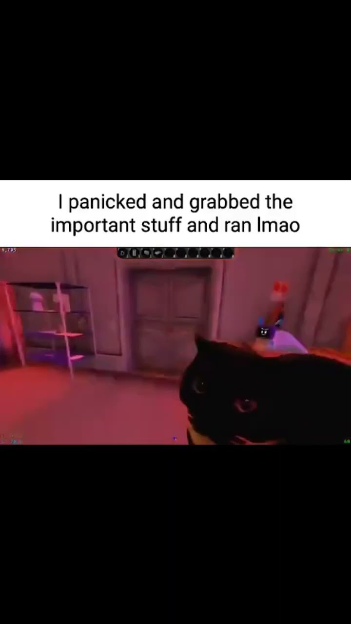 When you panic and grab the important stuff like yeah