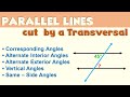 Parallel Lines cut by a TRANSVERSAL | Ms Rosette