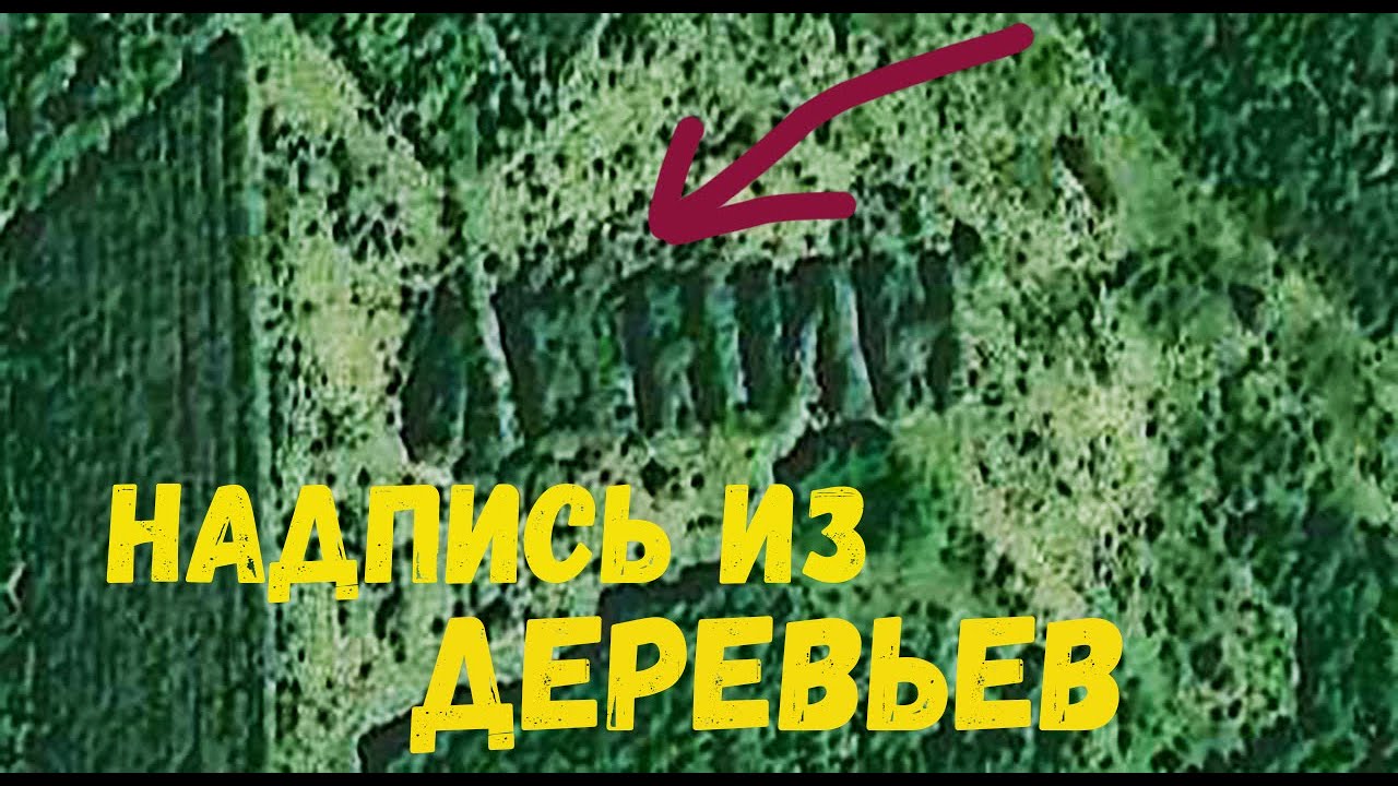 ТОП 5 удивительных видов Новосибирска и НСО в Гугл.Картах [Top NSK #21]