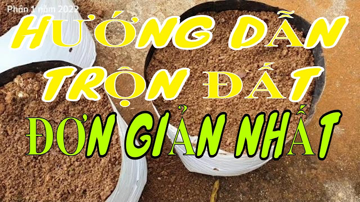 Hướng dẫn làm đất trồng dâu tây