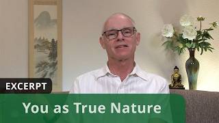 You as True Nature (Excerpt)