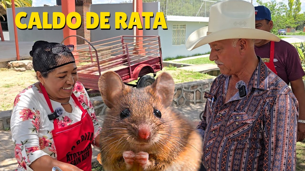 SI QUIERE ESTAR FUERTE Y SANO, échese un CALDITO DE RATA