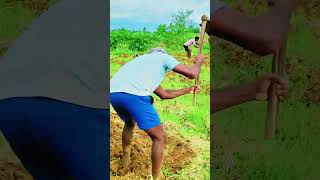 🌾... மண்ணோடு சேர்ந்த எங்கள் வாழ்க்கை... 🌾#work #vlog ..