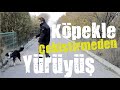 Köpeğim Sürekli Çekiştiriyor! Çekiştirmeden Nasıl Yürürüm?