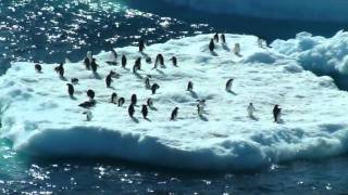 Antarctica2_0001.wmv Jan 2012