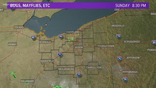 11 P.m. Weather Forecast June 28, 2020
