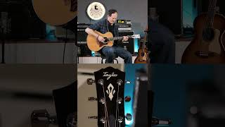 These new Taylor Gold Label Guitars Are Truly Amazing