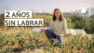 Evolución Huerta de 2 Años SIN Labrar | Lo Bueno y lo Malo