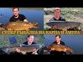 Супер рыбалка на крупного карпа и амура на пруду Разинский / Карпфишинг / Английский завтрак