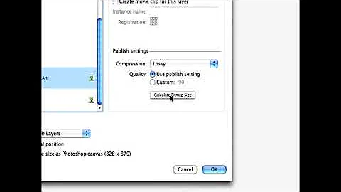 Importing Graphics into Flash CS3