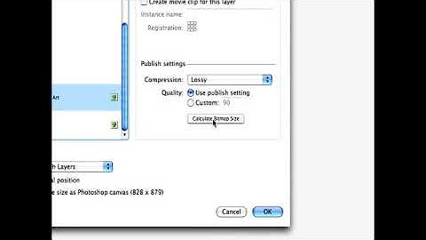 Importing Graphics into Flash CS3