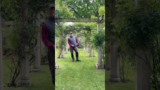 ROSE TYING, tying in rose stems #shorts #shortvideo #roses #garden #plants #gardenadvise #gardentips
