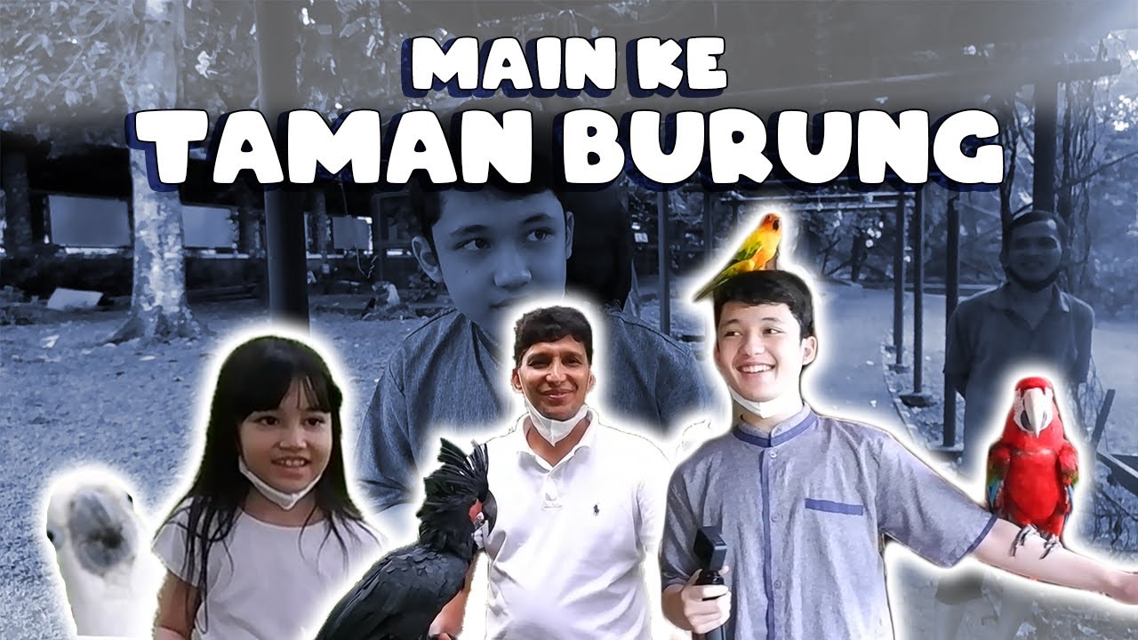 ALWI DIGIGIT BURUNGG??? AMINAH KETAWA KETAWA LIAT BURUNG !!! IMUT BANGET !!!