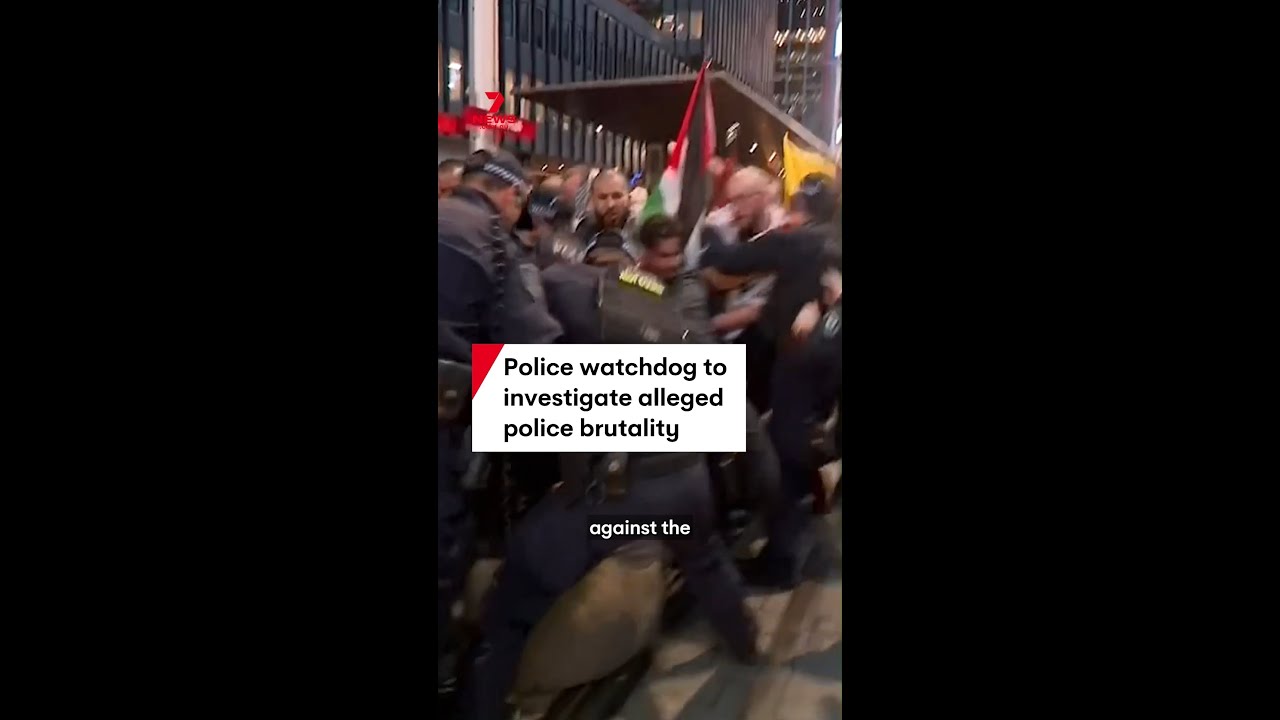Police watchdog to investigate alleged police brutality