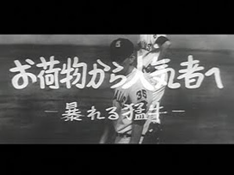 昭和55年5月] 中日ニュース No.1376_1「第47回日本ダービー