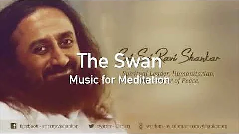 Meditation Music - Swan relaxing music