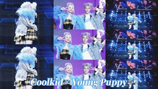 Tổng hợp video Tiktok về Coolkid và Young Puppy 💙 | Rap Việt mùa 4 #24
