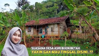 Suasana Hidup di Kampung Asri Suku Jawa Kuno Terpencil di Pedalaman Desa Asri Bikin Betah