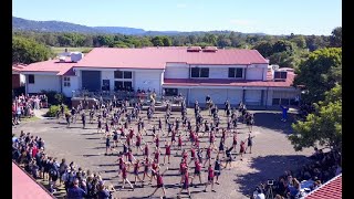 Robina SHS Flash Mob!