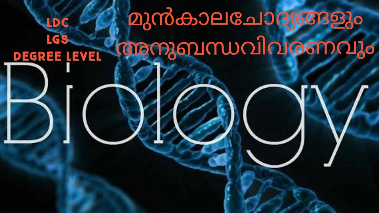 Решение По Фото Биология