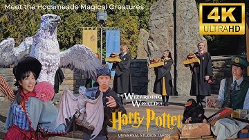 Full Tour of The Wizarding World of Harry Potter | Universal Studios Japan