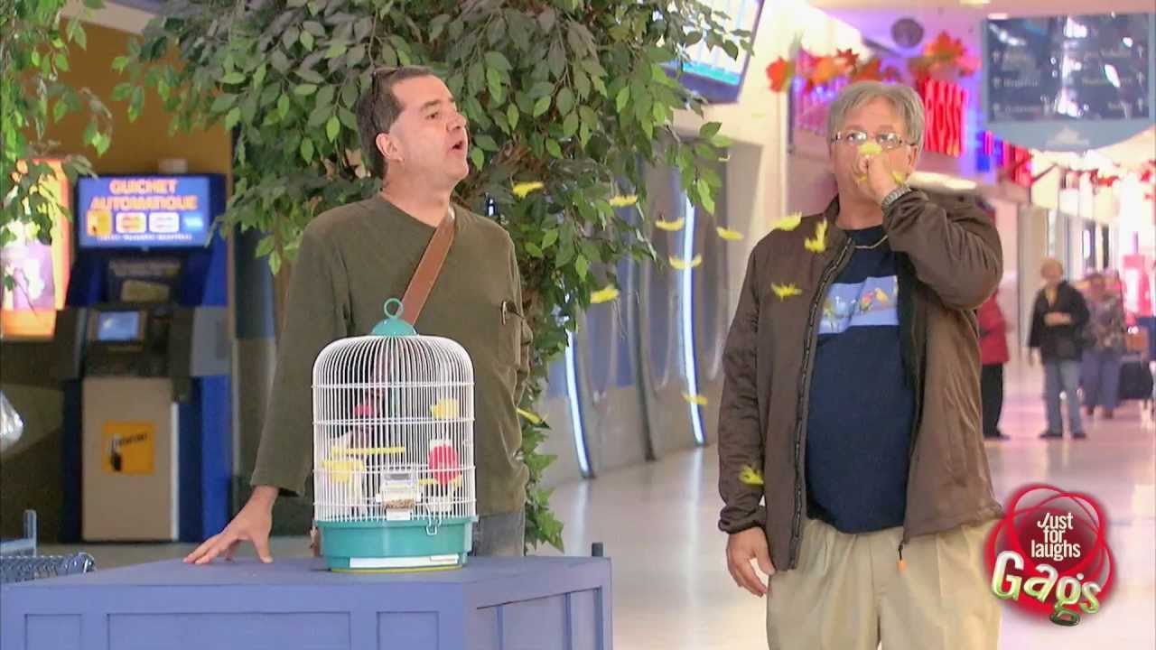 Man Eats Cute Bird Prank