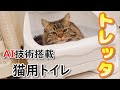 【AI技術搭載】猫用トイレ「トレッタ」が来た！【マンチカンのアーサー】