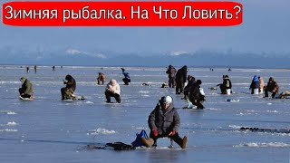 Зимняя рыбалка: на что ловить?