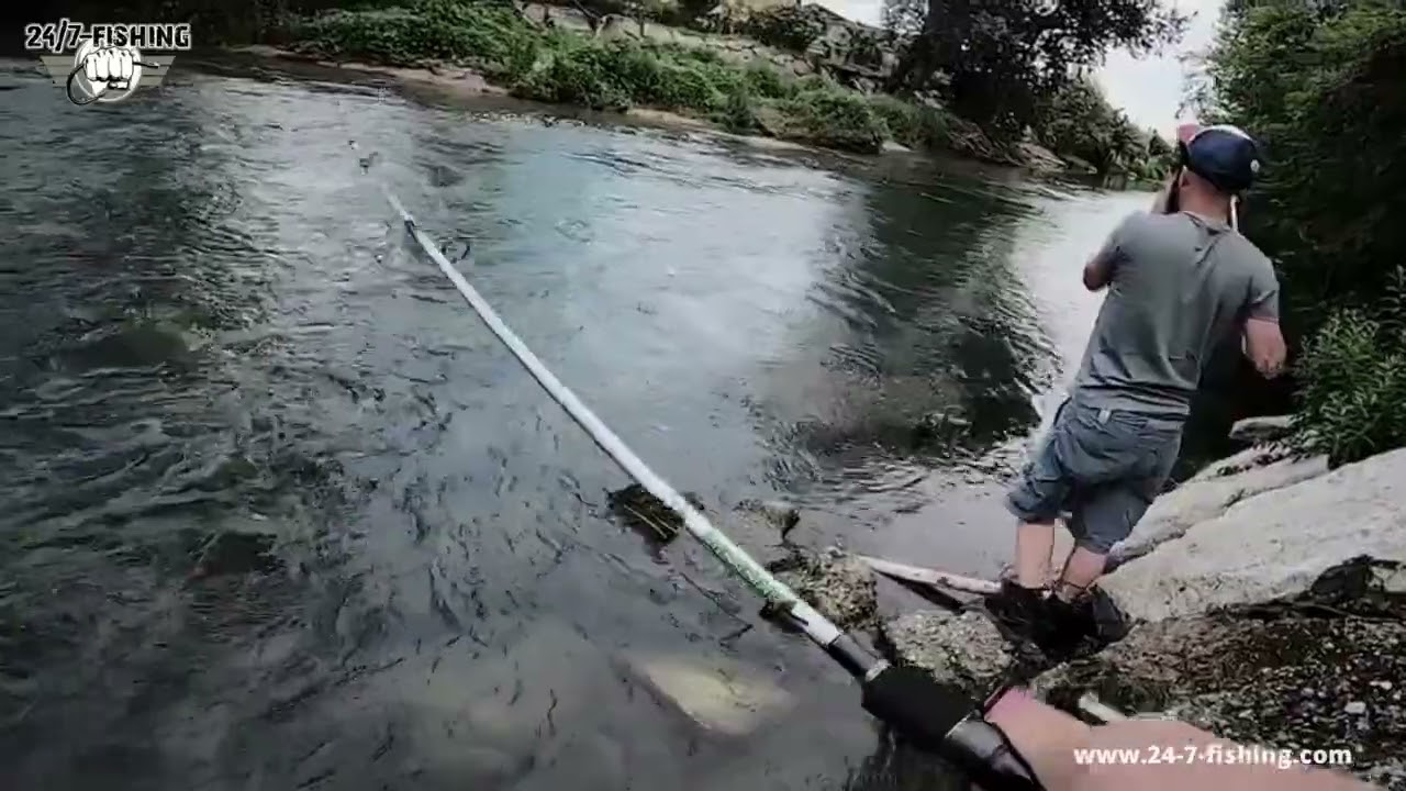 MOLIX SKIRMJAN Predator Hunter Serie Rods 24/7-Fishing Store