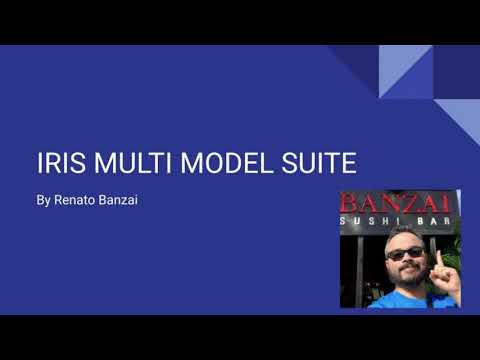 IRIS Multi-Model Suite Demo