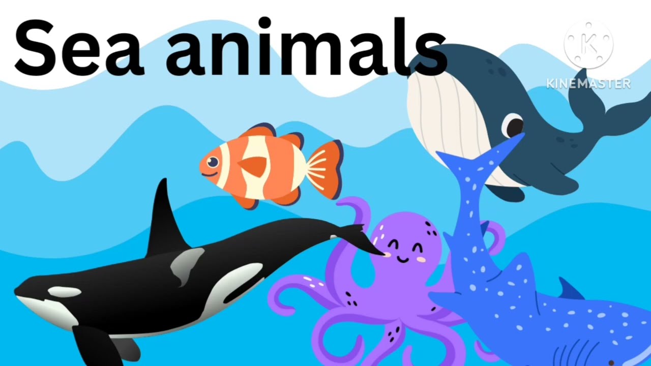 sea animals 20 water animals 