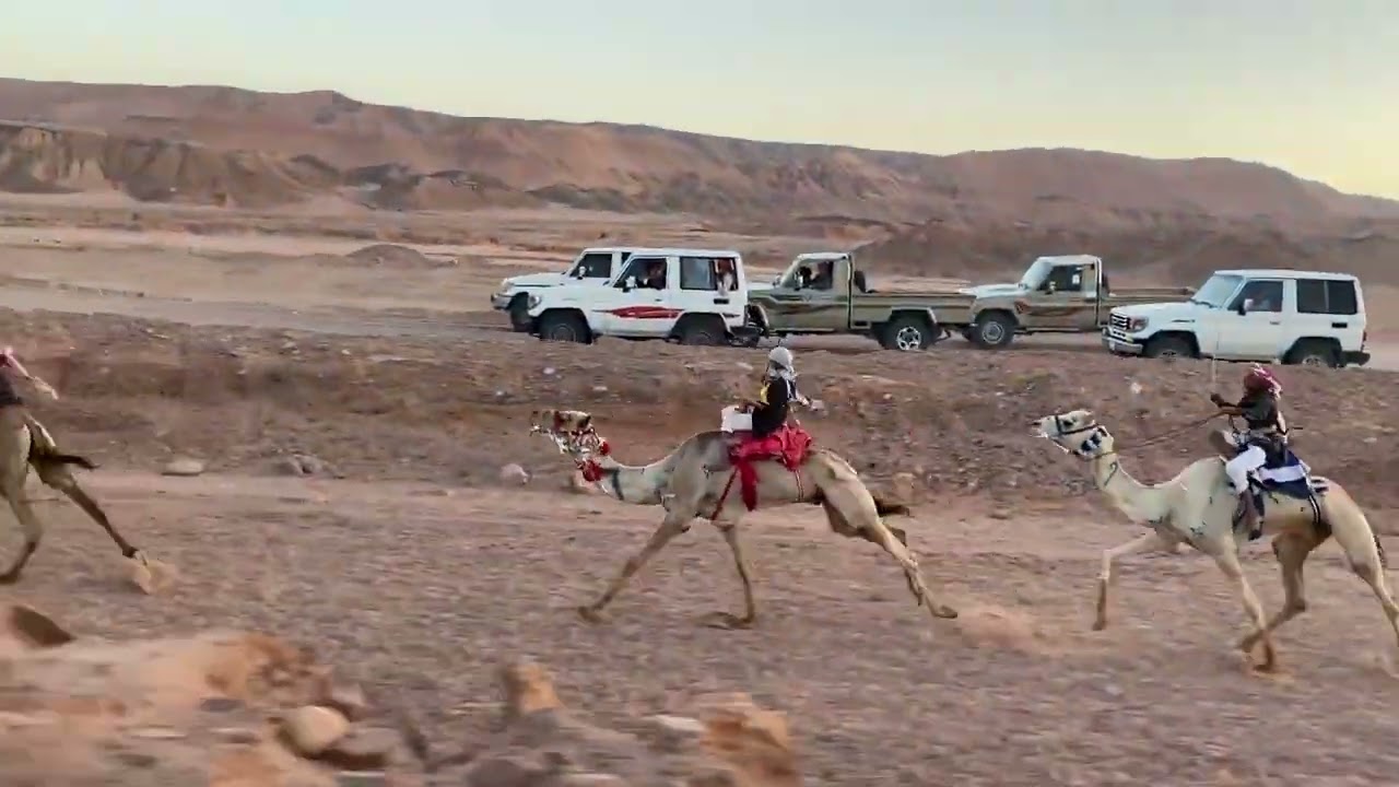 المراثون مسافة 8كم (الغراف) لـ سويلم حماد العمراني