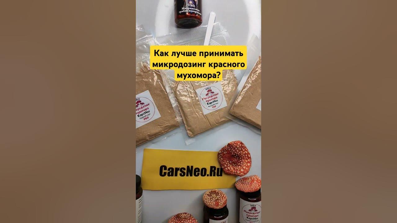 Как лучше принимать микродозинг красного мухомора? #мухомор - YouTube