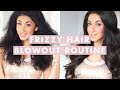 Hair Routine For Frizzy Hair | Blowout & How To Get Silky Hair