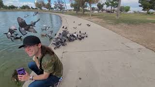 Feeding the ducks at the lake