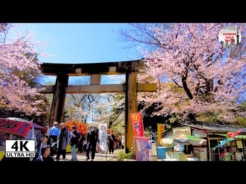 Ueno Park Walking