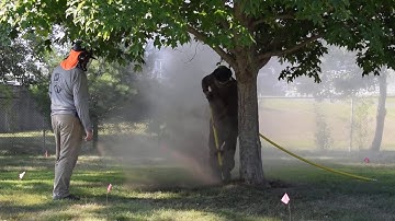 Hawkes Tree Service using an Airspade to perform a root collar excavation.