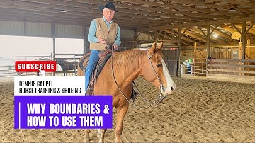Why We Need To Give Our Horses Boundaries And How To Use Them