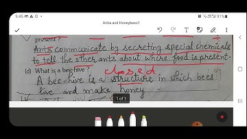 Chapter 5 Anita and the Honeybees Holyfaith Workbook Class 4 EVS by Renu Rathi