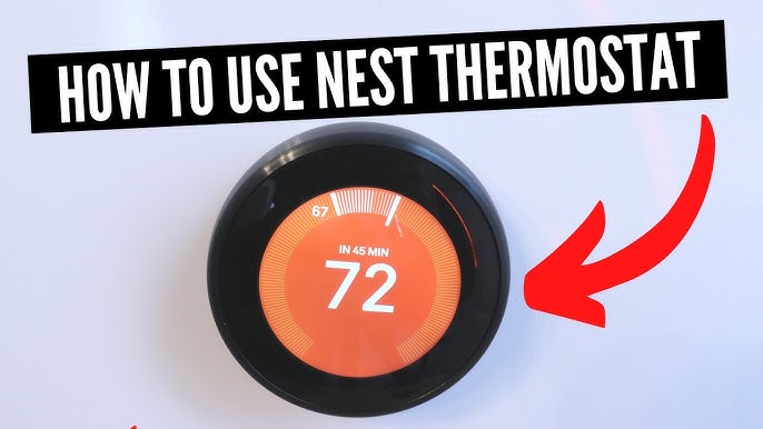 Find Out How to Fix Your Nest with These Tips from Nest Support