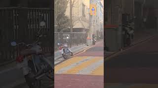 돌마리어린이공원 영상