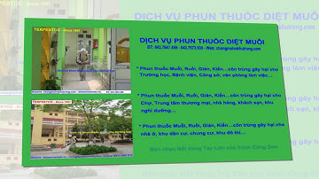 Dịch vụ phun thuốc diệt Muỗi tại Hà Nội