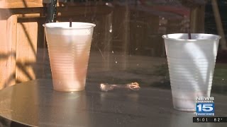Neighbors react to Sport and Spirits shooting