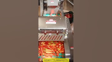 Multi Functional Vegetable Slicing, Root and Leaf Vegetable Turmeric, Okra, Carrot, Cutting Machine