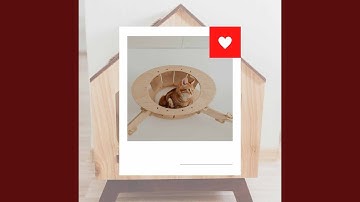 Pulsating Ambiance for Loved Cats