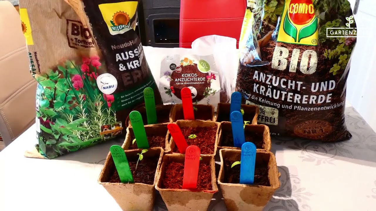 [Incredible Differences] What's the best potting soil? We tested it!