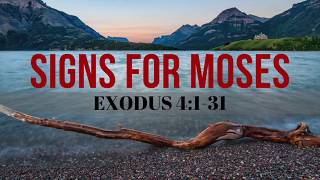 EXODUS 4:1-31 Signs For Moses NIV Female Narration (For Sleep And Relaxation)
