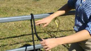 How To Tie A Quick Release Knot - Local Horse Magazine