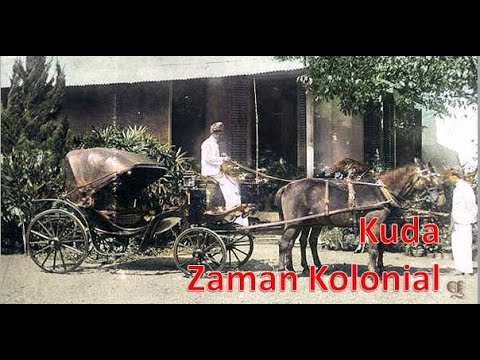 Kuda Pada Zaman Kolonial