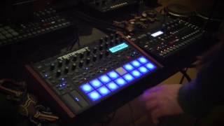 DSI TEMPEST & Analog FOUR - Archontic Window - (Techno)